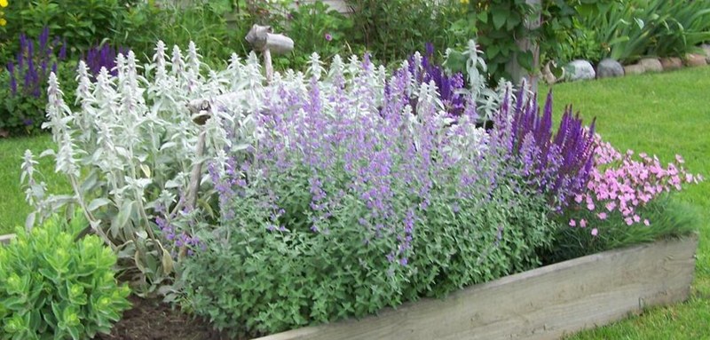 Flowers Flowers