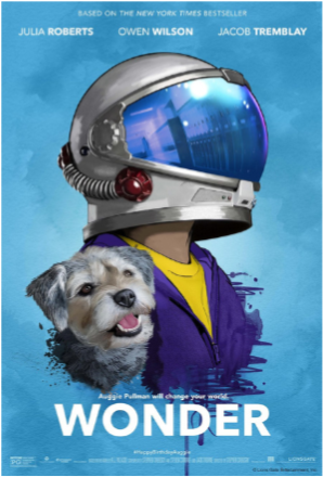 Wonder pic.png
