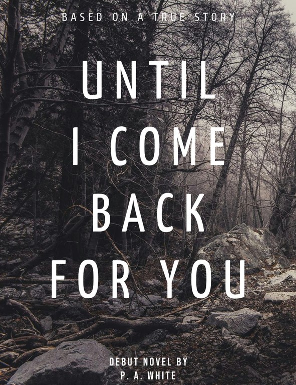 Until I Come Back To You.jpg