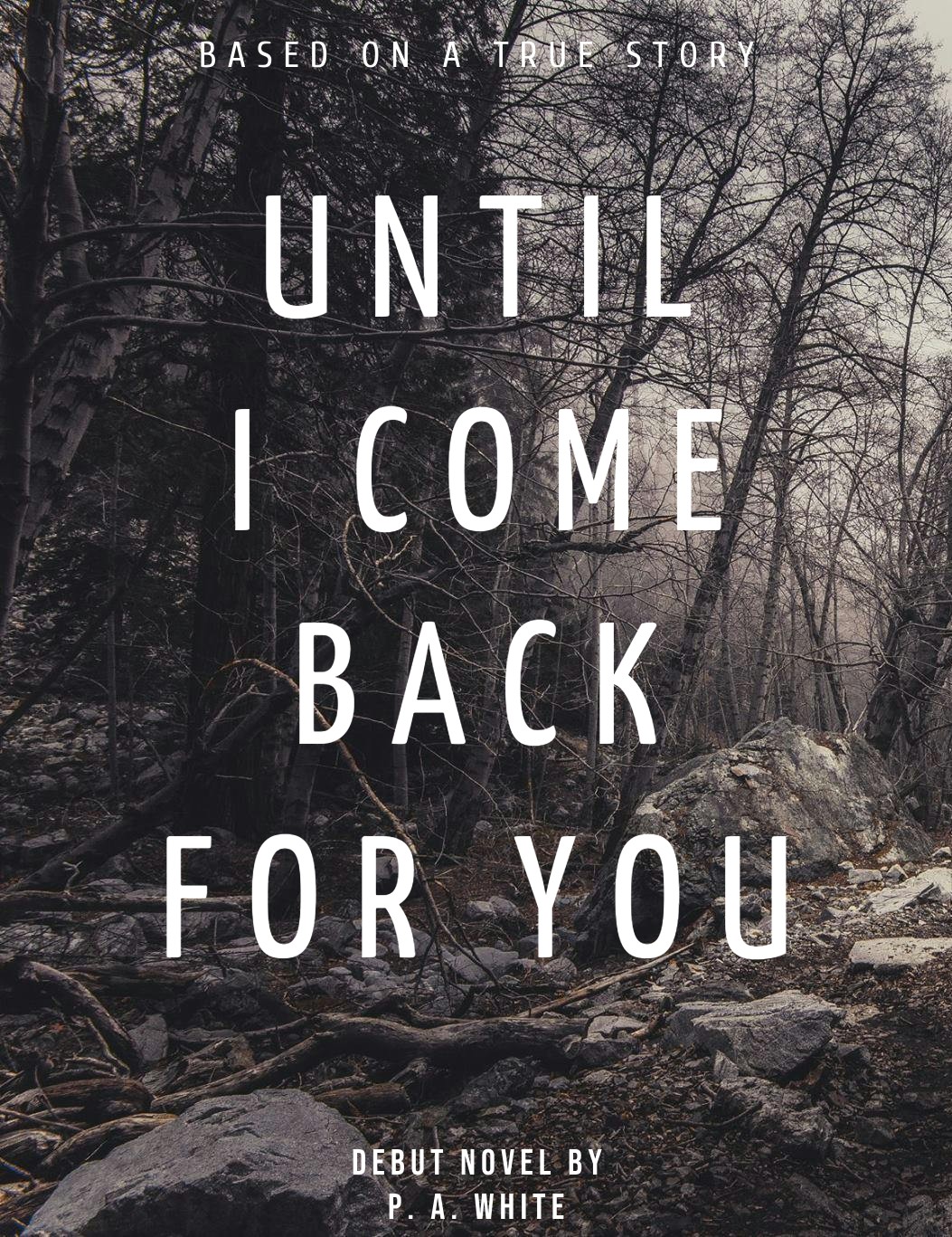 Until I Come Back To You.jpg